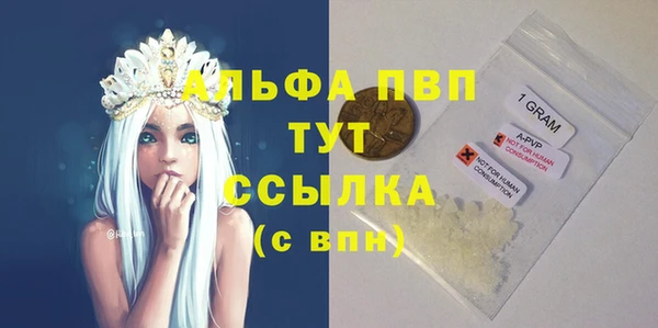 СК Михайлов