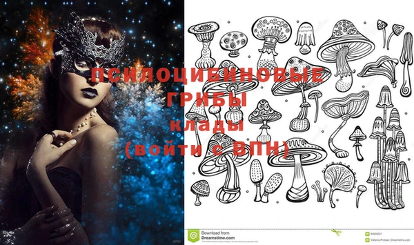 ГАЛЛЮЦИНОГЕННЫЕ ГРИБЫ Михайловка