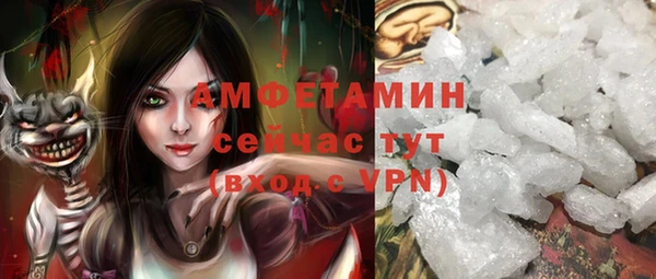 СК Михайлов