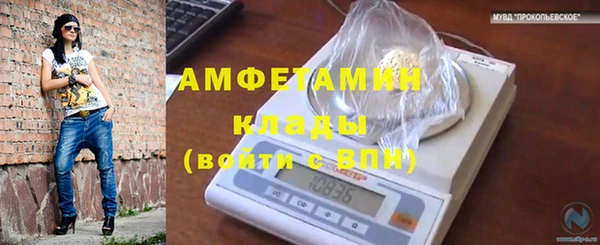 СК Михайлов
