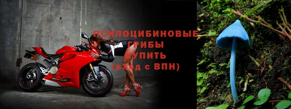 СК Михайлов
