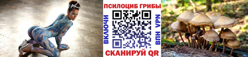 Галлюциногенные грибы Psilocybe  Купить закладки  Котово 