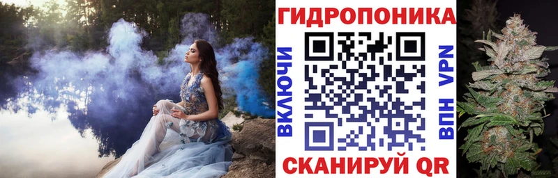 Бошки Шишки гибрид  Купить закладки  Котово 